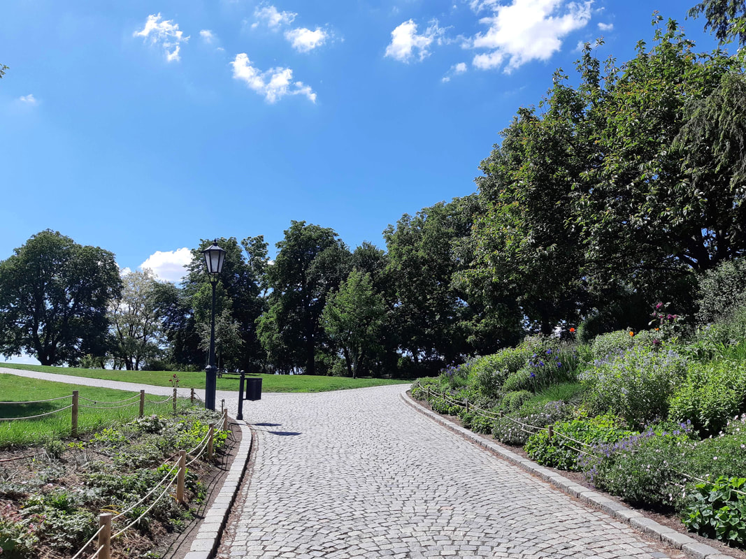 A path in the park at Vysehrad. Image by author.